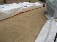 Shipley's-decorative-sidewalk_0030