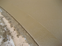 Shipley's-decorative-sidewalk_0050